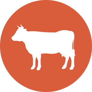 Rancho Mariposa